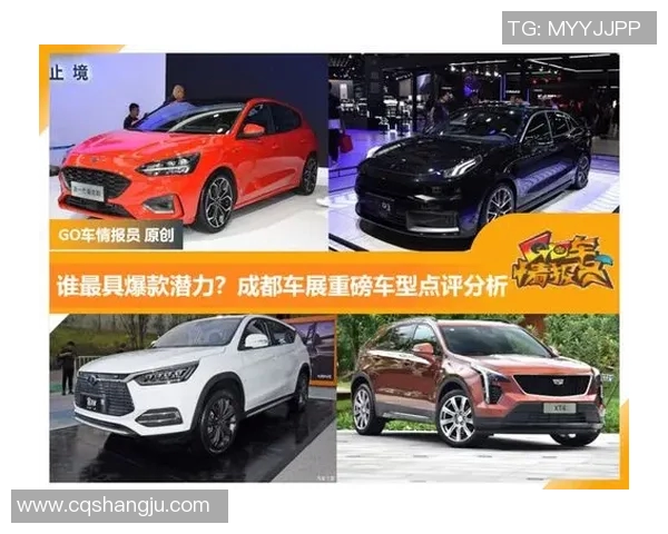 杭州乒乓球队在欧锦赛中的速度表现分析与点评